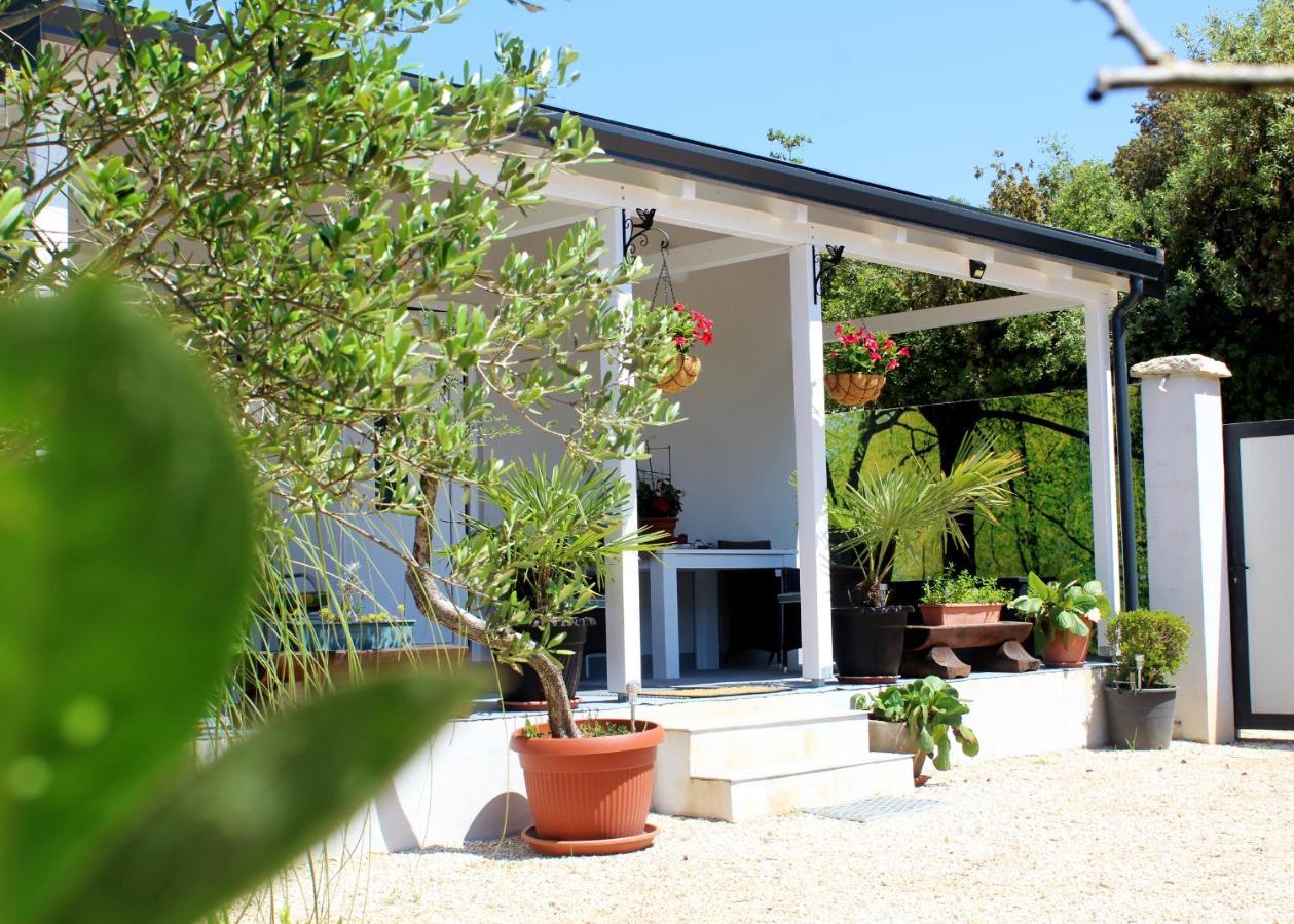 Villa Oliven Garden Rovinj Exterior foto