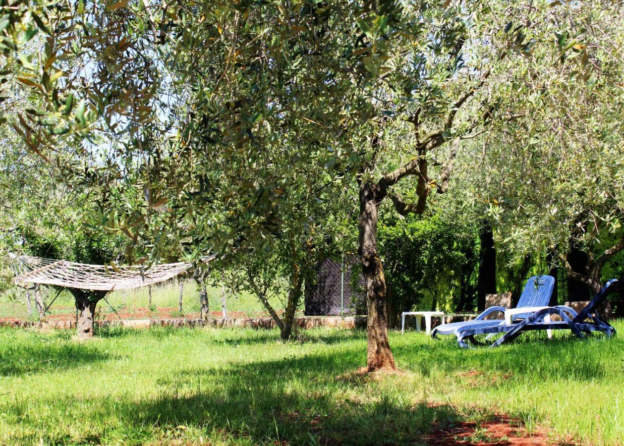 Villa Oliven Garden Rovinj Exterior foto
